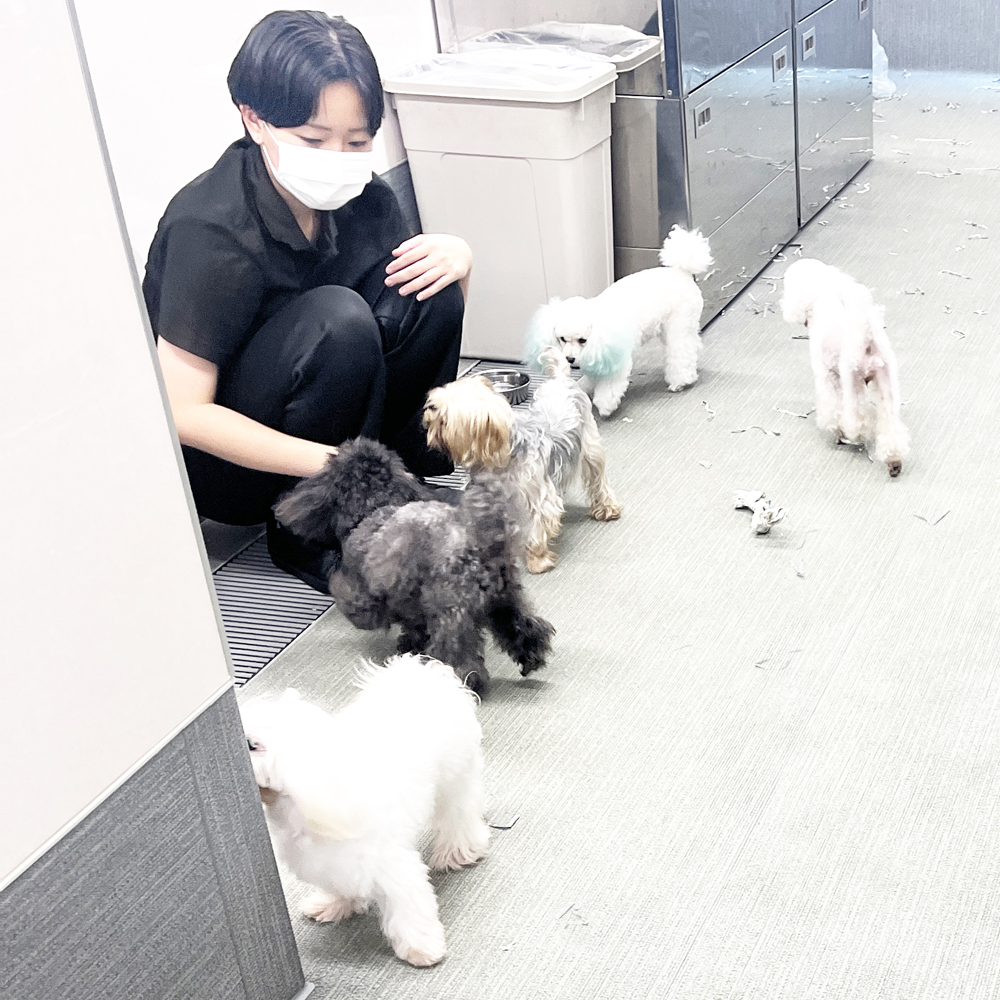 室内でＷａｎ活♪